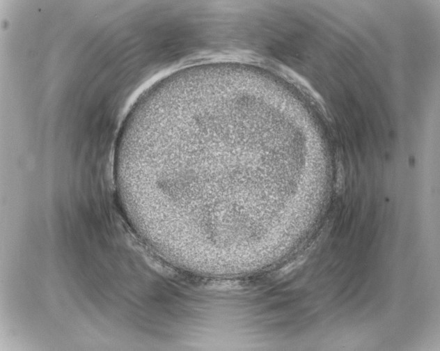 X0000085311174200704092315