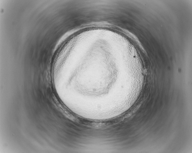 X0000085311176200704092315