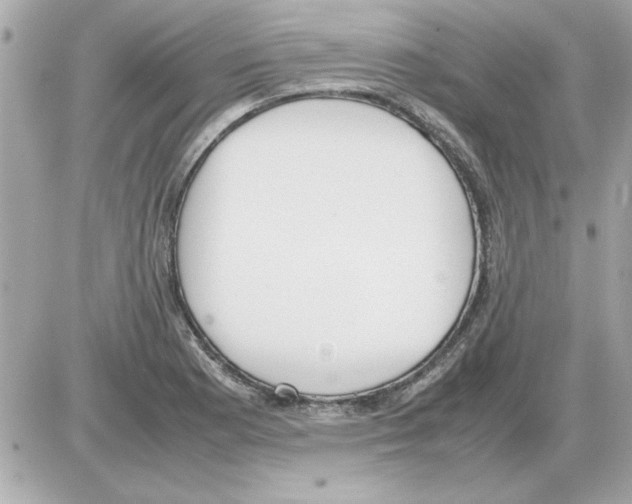 X0000085311177200704092315