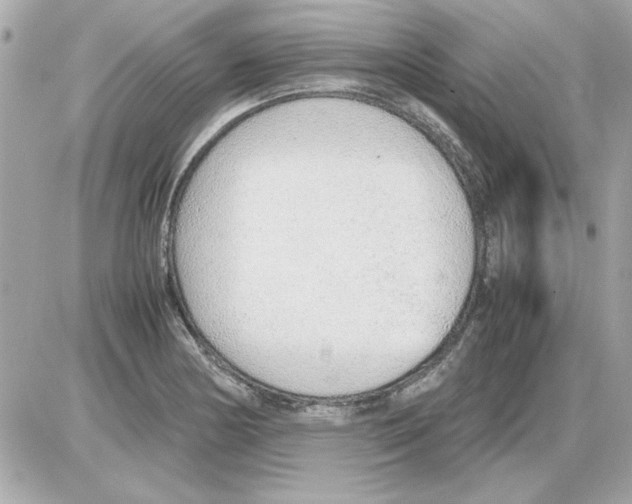 X0000085311178200704092315