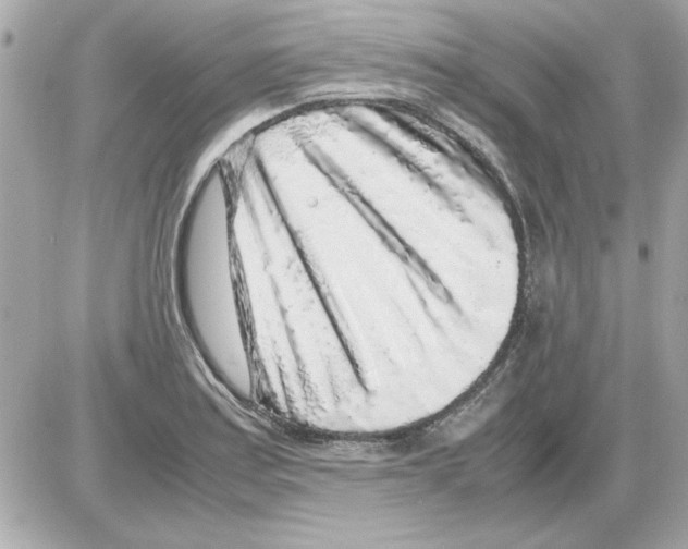 X0000085311179200704092315