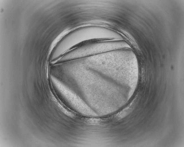 X0000085311180200704092315