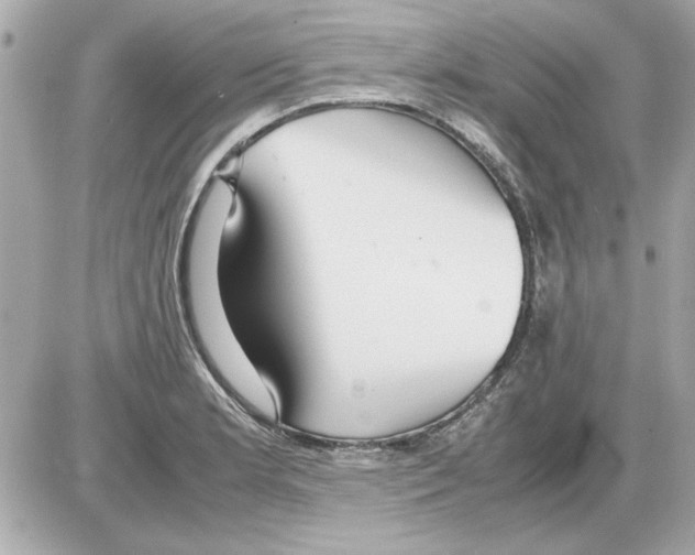 X0000085311181200704092315