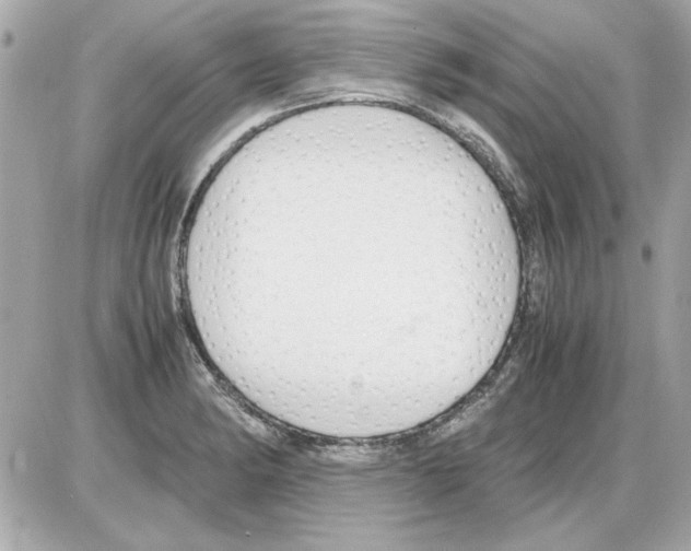 X0000085311182200704092315