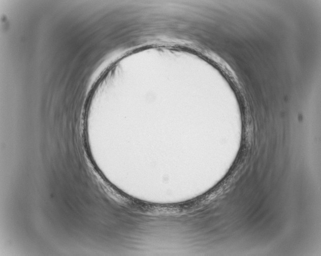 X0000085311183200704092315