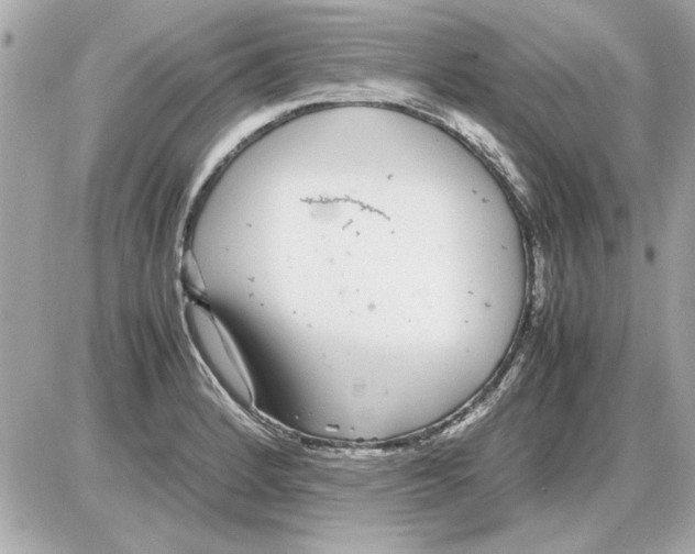 X0000085311184200704092315