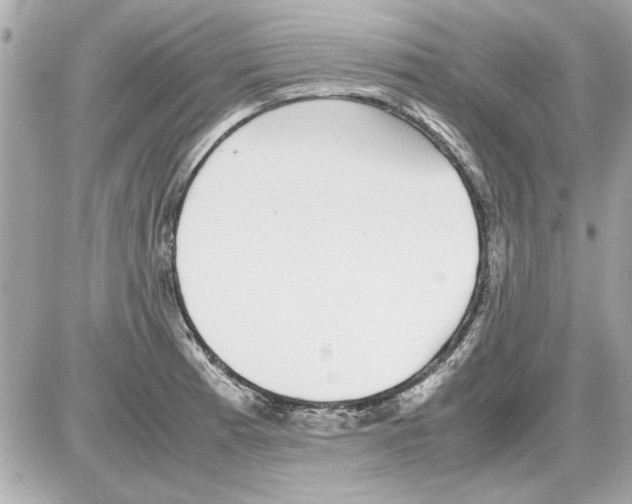 X0000085311185200704092315