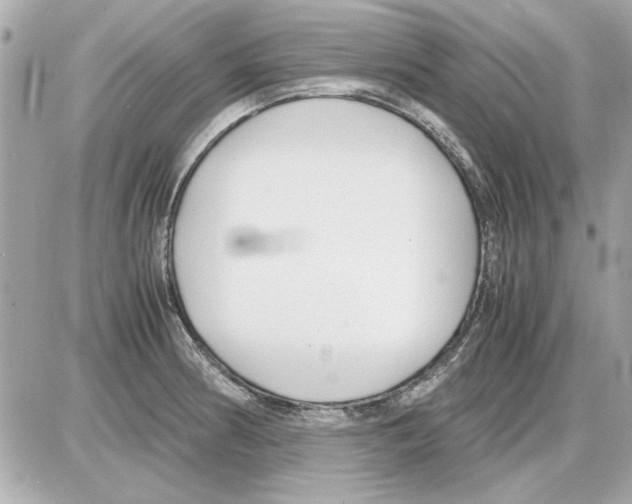 X0000085311186200704092315