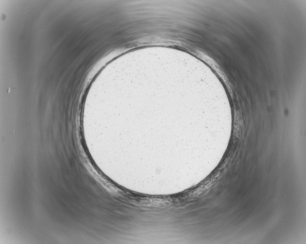 X0000085311187200704092315