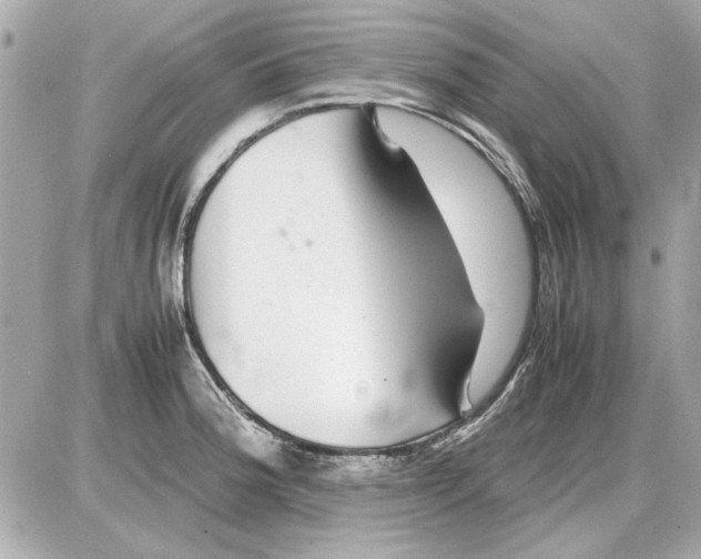 X0000085311188200704092315