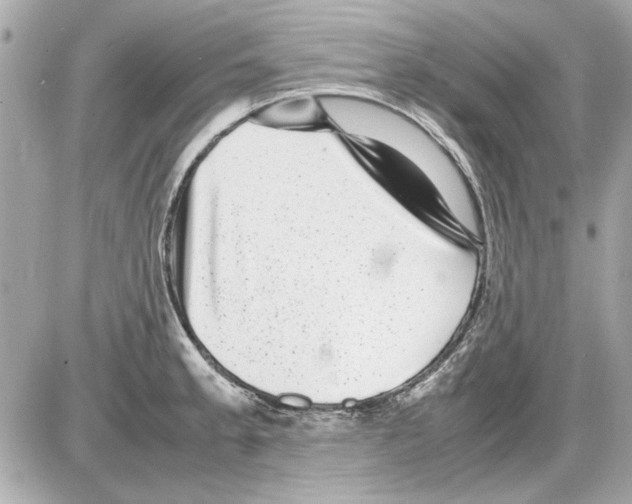 X0000085311189200704092315