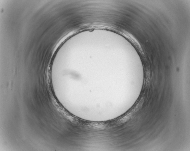 X0000085311190200704092315