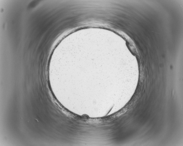 X0000085311191200704092315