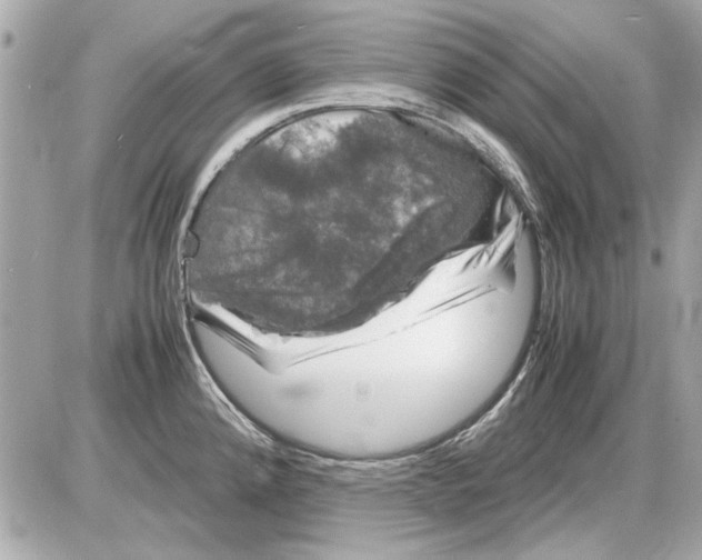 X0000085311192200704092315