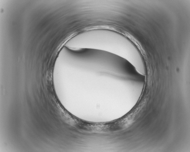 X0000085311193200704092315