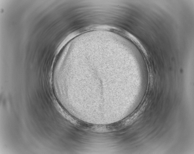 X0000085311194200704092315