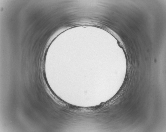 X0000085311195200704092315