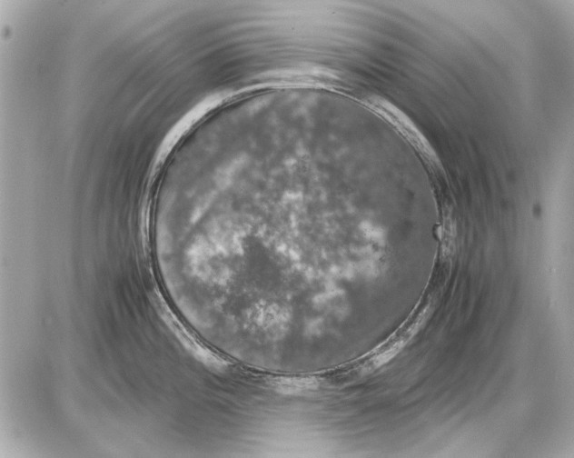 X0000085311196200704092315