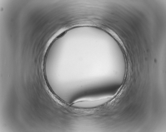 X0000085311197200704092315