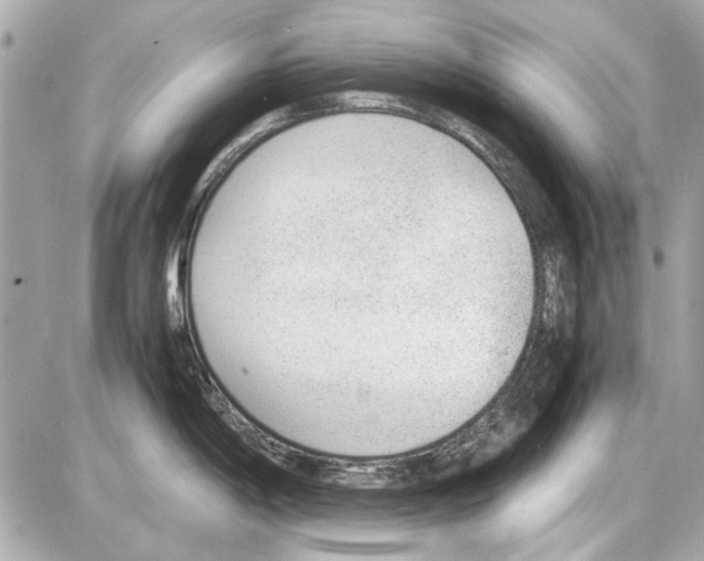 X0000085311198200704092315