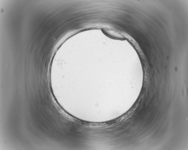 X0000085311199200704092315