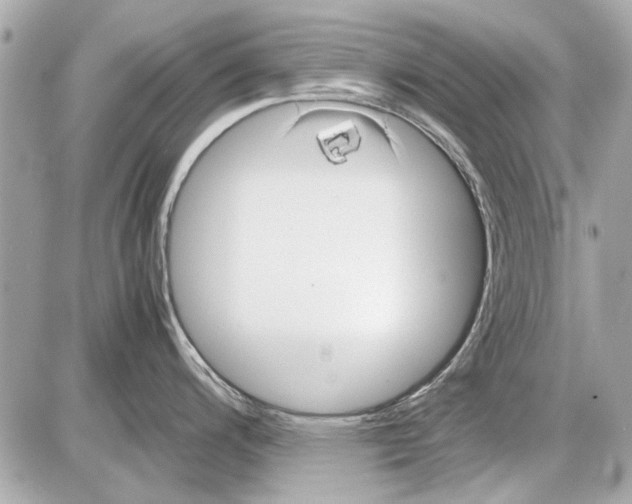 X0000085311200200704092315