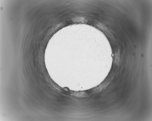 X0000085311201200704092314