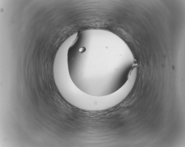 X0000085311202200704092314