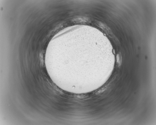 X0000085311203200704092314