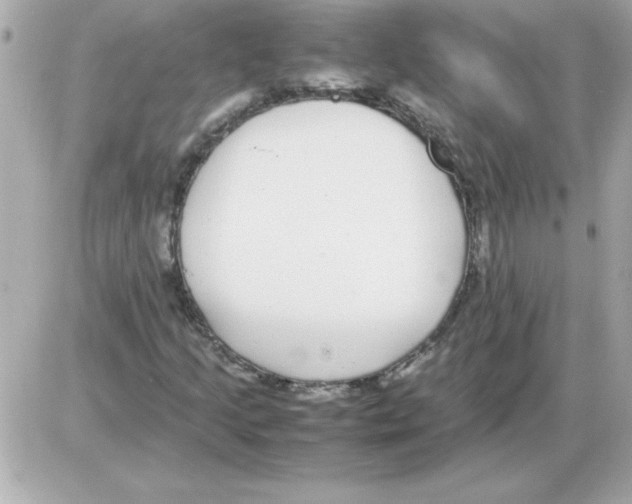 X0000085311205200704092314