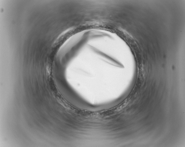 X0000085311206200704092314