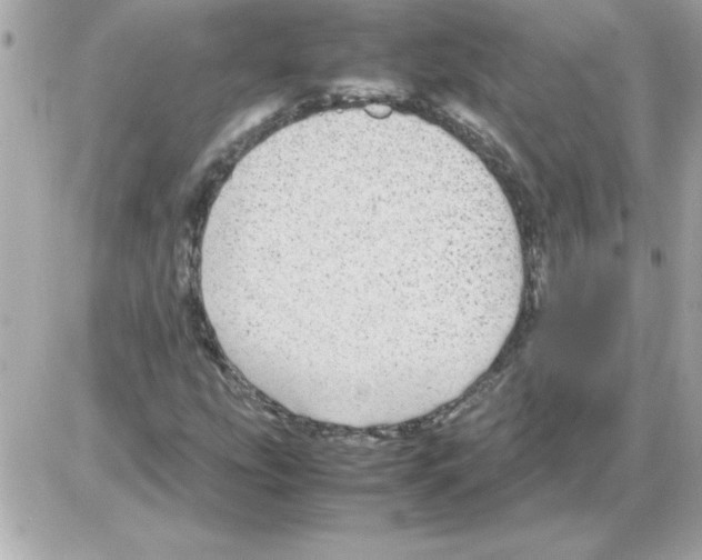 X0000085311207200704092314