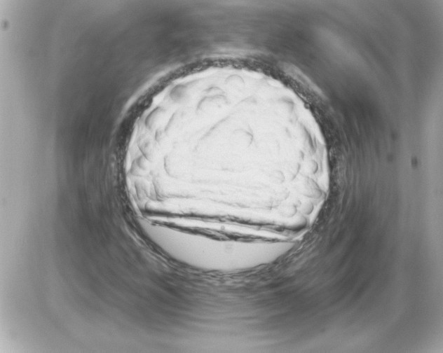 X0000085311208200704092314