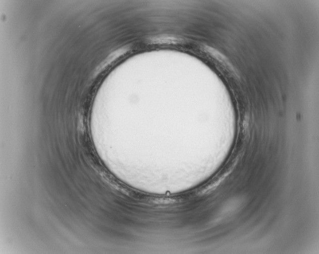 X0000085311209200704092314