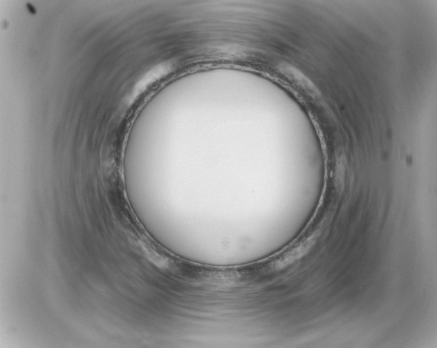 X0000085311210200704092314