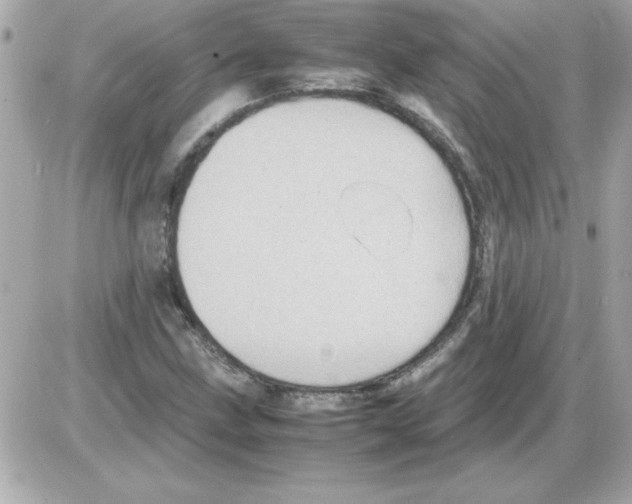 X0000085311211200704092314