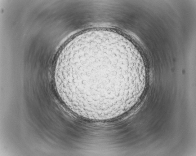 X0000085311212200704092314