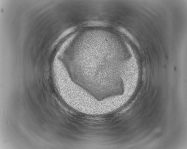 X0000085311213200704092314