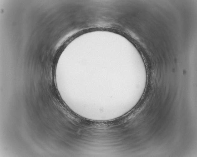 X0000085311214200704092314