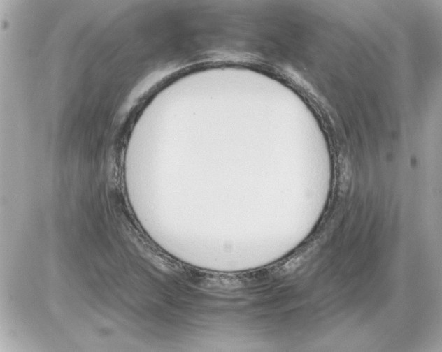 X0000085311215200704092314