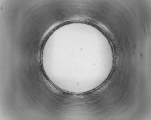 X0000085311216200704092314