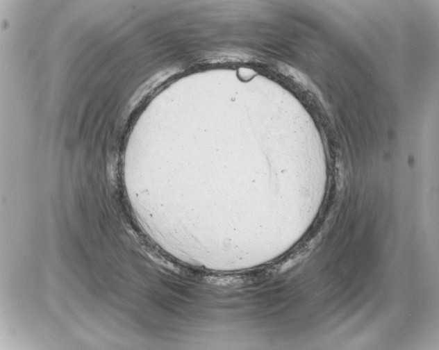 X0000085311217200704092314