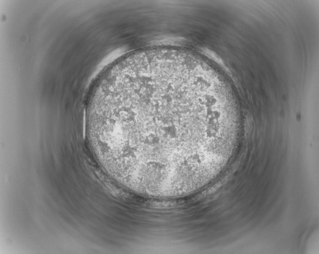 X0000085311219200704092314