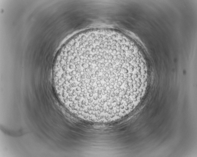 X0000085311220200704092315