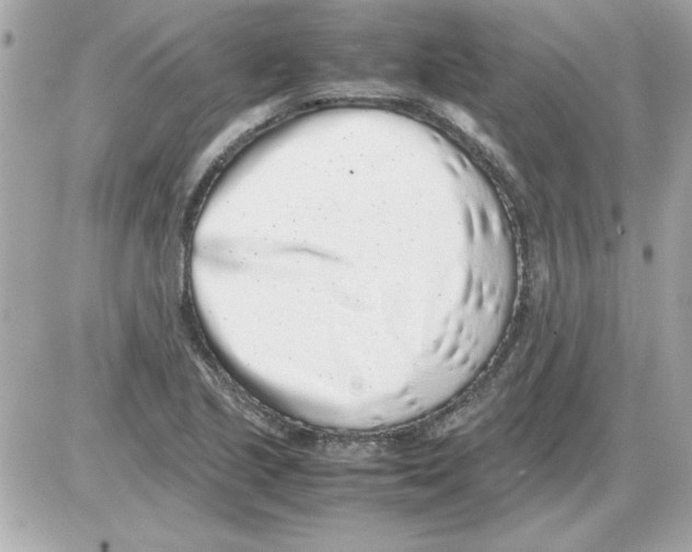 X0000085311221200704092315