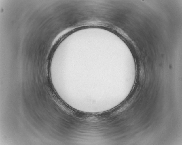 X0000085311222200704092315