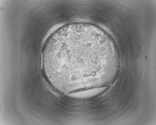 X0000085311223200704092315