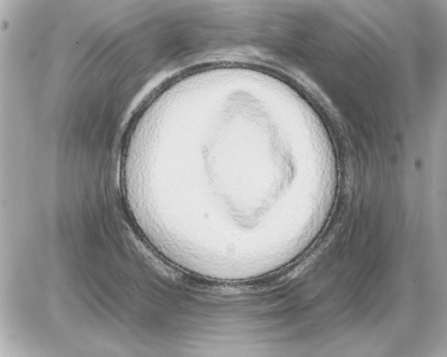 X0000085311224200704092315