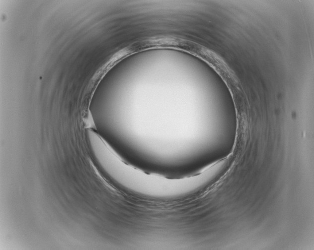 X0000085311225200704092315