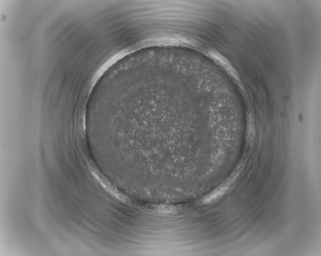 X0000085311226200704092315